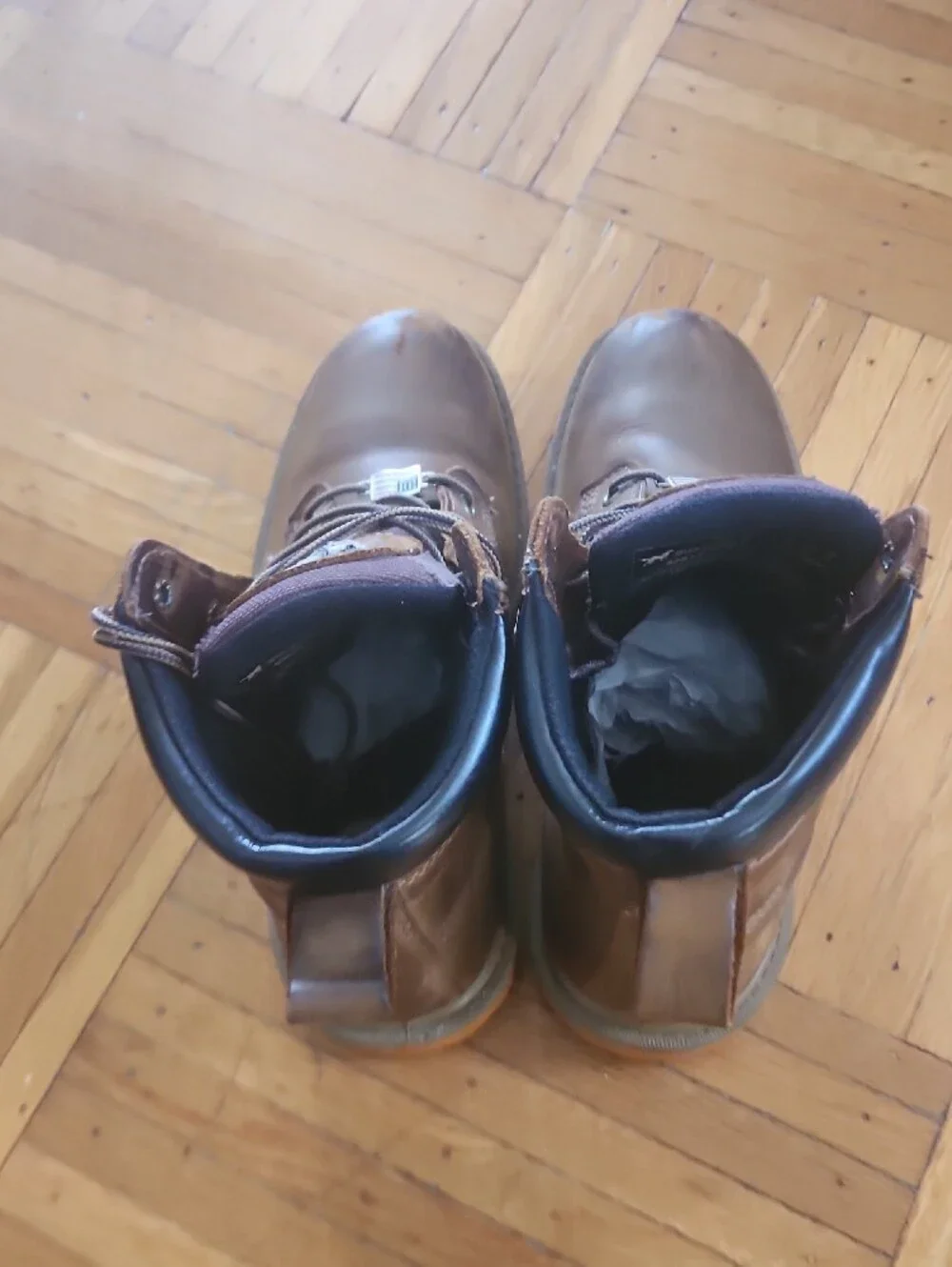 Irish Setter sturdy leather